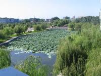 Albums/20060800-China Aug 2006/20060804-Shenyang University/6